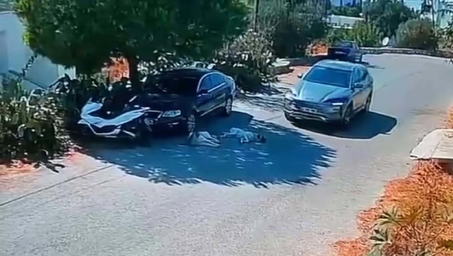 Otomobilin İki Köpeğin Üzerinden Geçip, Yoluna Devam Etmesi Güvenlik Kamerasında Kayıt Altına Alındı