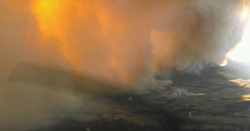 Victoria, Avustralya’da ormanlık bir ateşte 65 bin hektarlık alan hasar gördü.