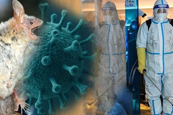 Çin’de yarasadan gelen yeni virüs alarmı mı var? ‘Henipavirus’ gerçekten tehdit mi? Uzmandan önemli açıklamalar…