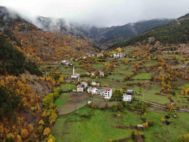 Gümüşhane'de ata tohumları