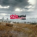 Zynga Poker Chip – Oyun Keyfinizi Kesintiye Uğratmayın