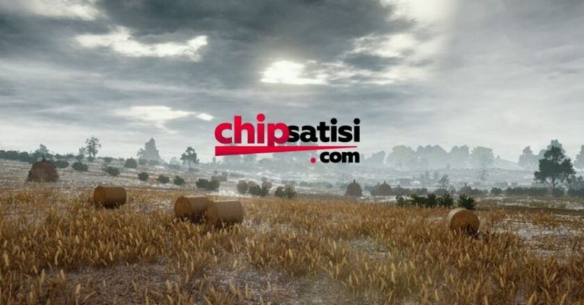 Zynga Poker Chip – Oyun Keyfinizi Kesintiye Uğratmayın