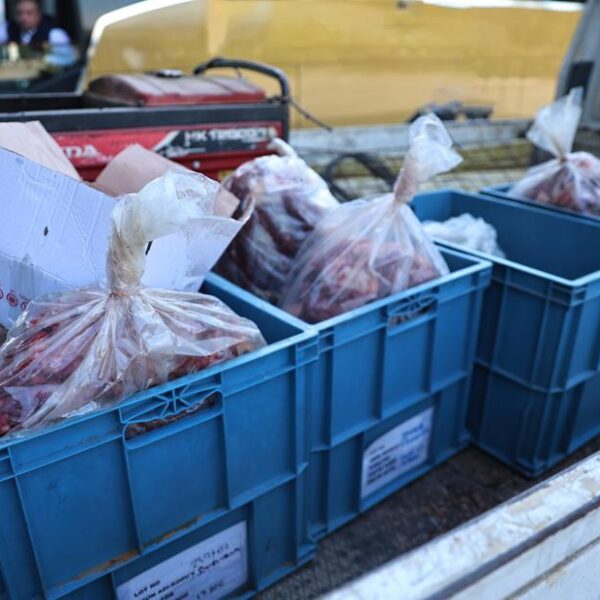 Otobüsün bagajında tonlarca kaçak et ele geçirildi