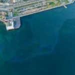 İzmir Körfezi’ne atık bırakıldı